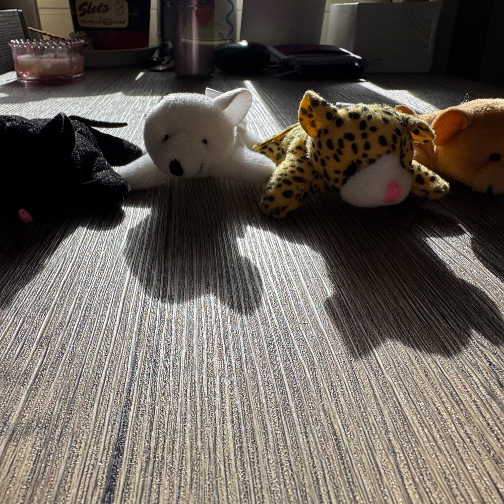 Set of Plush Animal Toys